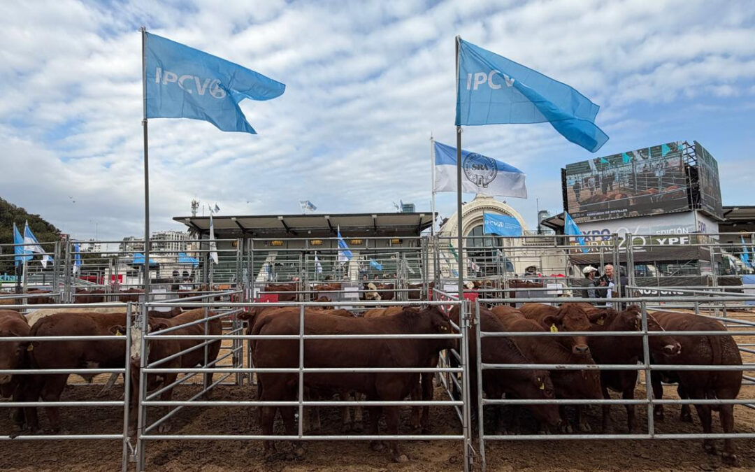 El IPCVA convirtió a la Carne Argentina en uno de los grandes protagonistas de La Rural 2026