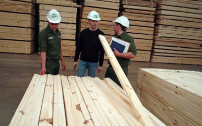 Desde Misiones y el Norte de Corrientes se consolida el primer Grupo PyMES Forestoindustriales del país con certificación PEFC de Cadena de Custodia Desde Misiones y el Norte de Corrientes se consolida el primer Grupo PyMES Forestoindustriales del país con certificación PEFC de Cadena de Custodia