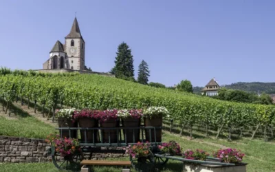 La ruta del vino de Alsacia: un recorrido de cuento entre viñedos, castillos y pueblos con siglos de historia La ruta del vino de Alsacia: un recorrido de cuento entre viñedos, castillos y pueblos con siglos de historia