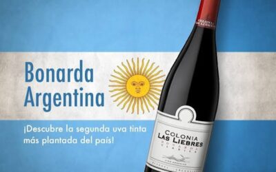 Bonarda: el vino preciso que los consumidores están buscando Bonarda: el vino preciso que los consumidores están buscando