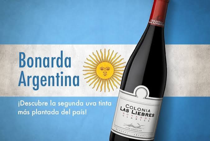Bonarda: el vino preciso que los consumidores están buscando