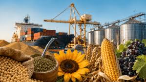 Las cadenas agroindustriales aportaron casi USD 32.000 millones de divisas en lo que va del año