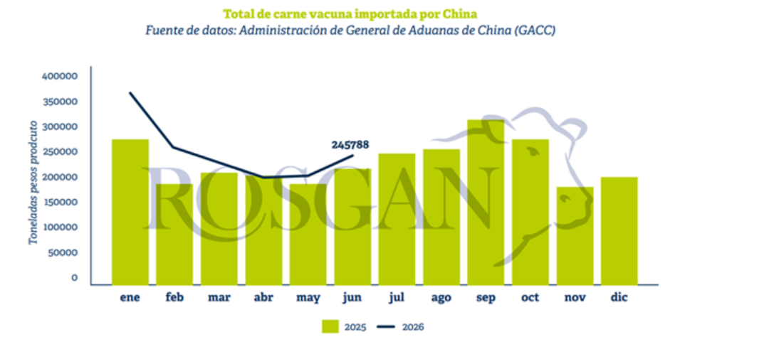 El gran dilema de la carne en China: Brasil agota su cupo y sacude el mercado mundial