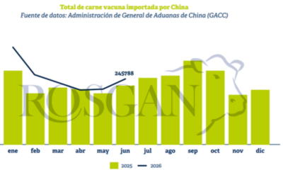 El gran dilema de la carne en China: Brasil agota su cupo y sacude el mercado mundial