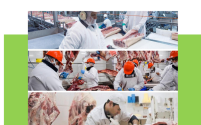 Radiografía de la faena bovina: Más pesaje por res en un mercado que ajusta oferta