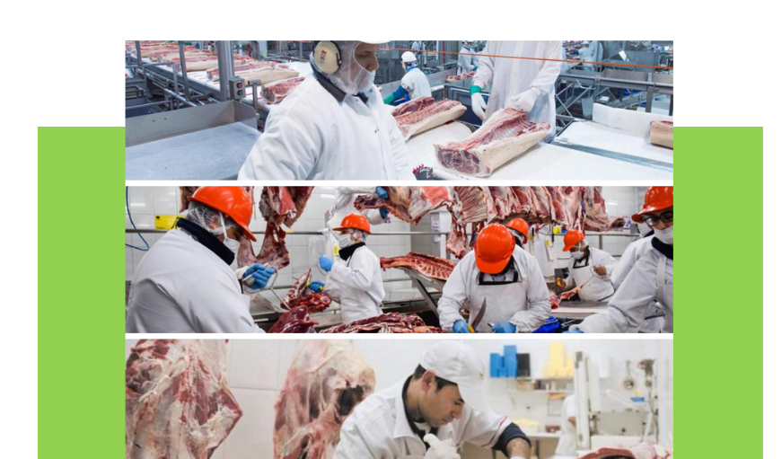 Radiografía de la faena bovina: Más pesaje por res en un mercado que ajusta oferta