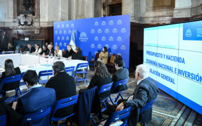 El Senado apura el Súper RIGI entre duras advertencias ambientales de especialistas y duras críticas de la oposición El Senado apura el Súper RIGI entre duras advertencias ambientales de especialistas y duras críticas de la oposición