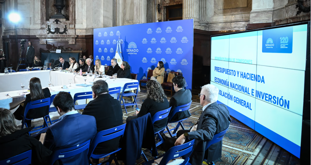El Senado apura el Súper RIGI entre duras advertencias ambientales de especialistas y duras críticas de la oposición