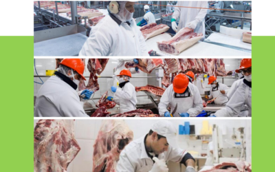 Boom exportador de carne argentina: el precio por tonelada trepa un 27,5% y roza los 7.125 dólares