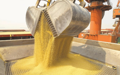 Las exportaciones argentinas despegan en el primer semestre impulsadas por el récord en soja y petróleo Las exportaciones argentinas despegan en el primer semestre impulsadas por el récord en soja y petróleo