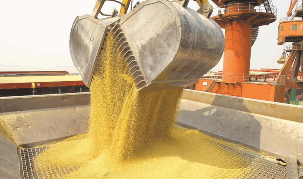 Las exportaciones argentinas despegan en el primer semestre impulsadas por el récord en soja y petróleo