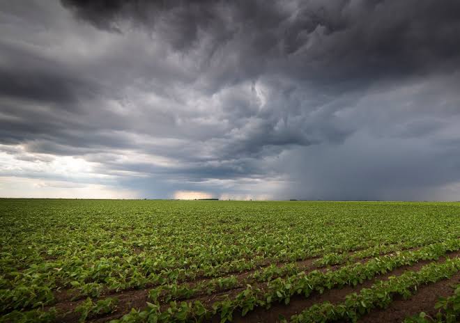 Se esperan lluvias escasas, heladas generales y marcada oscilación térmica según la Bolsa de Cereales