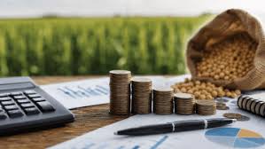 El crédito al sector agropecuario creció un 37% interanual, pero aún es insuficiente El crédito al sector agropecuario creció un 37% interanual, pero aún es insuficiente