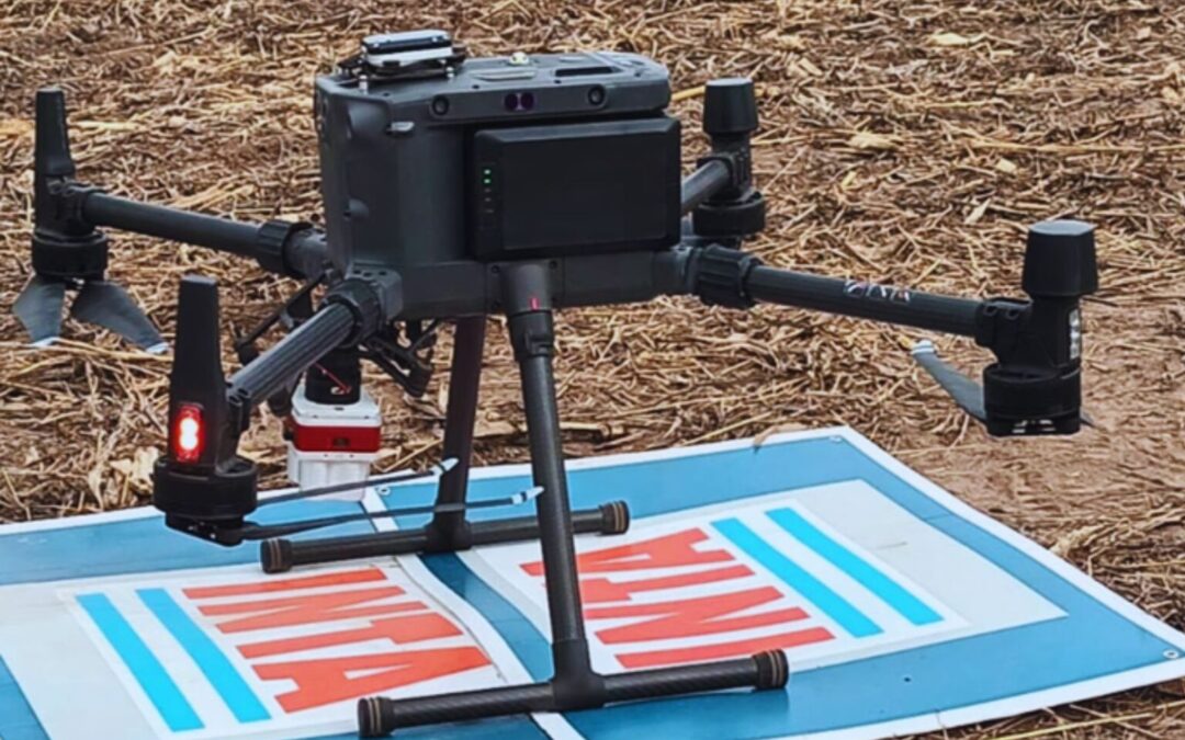 Cómo los drones y la inteligencia artificial revolucionan la estimación del rendimiento del maíz