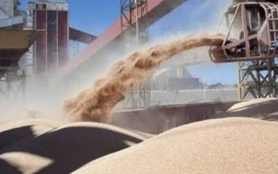 Inscripción para exportadores de granos de cebada, trigo, soja, sorgo y maíz a China hasta el 6 de septiembre