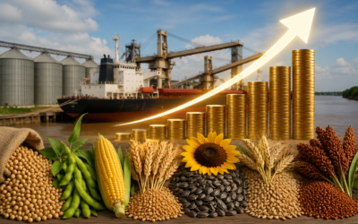 El aporte de las principales cadenas del agro en derechos de exportación ascendería a US$ 4.613 millones en 2026