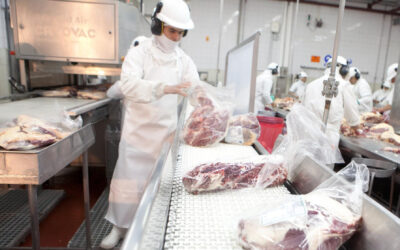 Las exportaciones de carne bovina aumentaron 10% en el primer semestre.