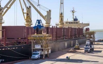 La suba de los fertilizantes generó un sobrecosto importador de USD 180 millones en el primer semestre de 2026 La suba de los fertilizantes generó un sobrecosto importador de USD 180 millones en el primer semestre de 2026
