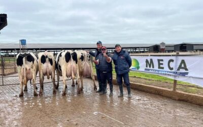 Desafíos y oportunidades del Acuerdo UE-Mercosur para la lechería argentina Desafíos y oportunidades del Acuerdo UE-Mercosur para la lechería argentina