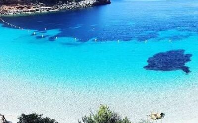 San Antonio de Portmany, el lugar ideal para alojarse en Ibiza San Antonio de Portmany, el lugar ideal para alojarse en Ibiza