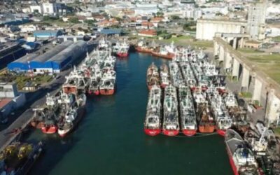 La Cámara de Puertos Privados Comerciales advierte que la parálisis del practicaje amenaza seriamente el comercio exterior y pide avanzar en la modernización del sistema La Cámara de Puertos Privados Comerciales advierte que la parálisis del practicaje amenaza seriamente el comercio exterior y pide avanzar en la modernización del sistema