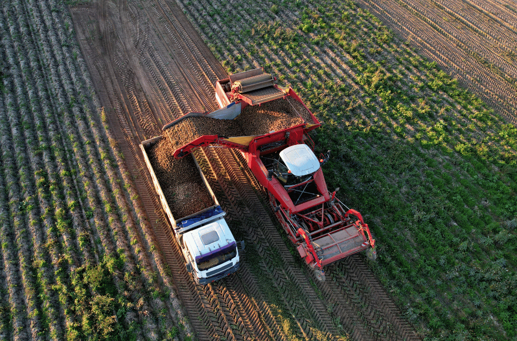 El ‘otro agro’ ante un nuevo mapa económico: rentabilidad, volumen y los desafíos de las economías regionales