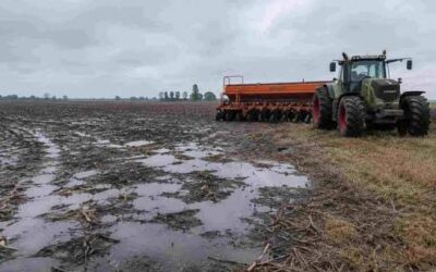 El clima adverso frena trabajos de siembra y cosecha El clima adverso frena trabajos de siembra y cosecha