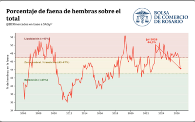¿Giro histórico en la ganadería? Por qué el campo mandó menos hacienda pero logró kilos récord ¿Giro histórico en la ganadería? Por qué el campo mandó menos hacienda pero logró kilos récord