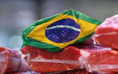 Brasil: el mayor proveedor mundial de carne vacuna se debate entre la fortaleza y la vulnerabilidad Brasil: el mayor proveedor mundial de carne vacuna se debate entre la fortaleza y la vulnerabilidad