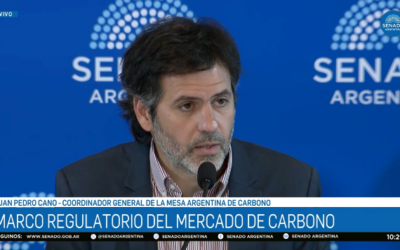 Créditos de carbono: Argentina busca no quedar afuera de un mercado que crece Créditos de carbono: Argentina busca no quedar afuera de un mercado que crece