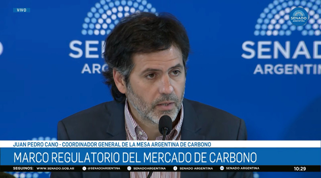 Créditos de carbono: Argentina busca no quedar afuera de un mercado que crece