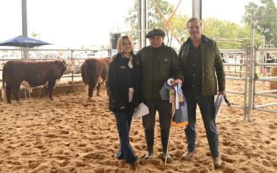 El Hereford gana terreno en Santa Fe y se luce en la Expo San Justo El Hereford gana terreno en Santa Fe y se luce en la Expo San Justo