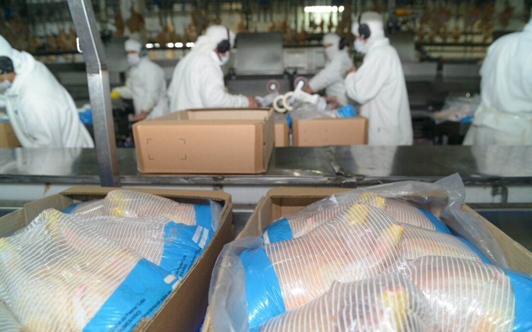 Argentina logró la reapertura del mercado de Corea del Sur para la carne aviar