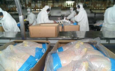 Argentina logró la reapertura del mercado de Corea del Sur para la carne aviar Argentina logró la reapertura del mercado de Corea del Sur para la carne aviar