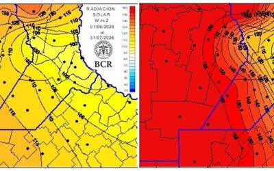 Vuelven el sol y el frío a la región núcleo: la carrera contra el tiempo para salvar el maíz tardío y frenar al trigo Vuelven el sol y el frío a la región núcleo: la carrera contra el tiempo para salvar el maíz tardío y frenar al trigo