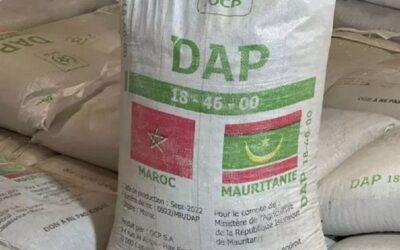 El mercado de fertilizantes fosfatados no levanta cabeza: los productores proyectan consumir las reservas del suelo