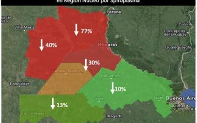 Julio mejora los márgenes agrícolas, pero el alquiler sigue restando rentabilidad Julio mejora los márgenes agrícolas, pero el alquiler sigue restando rentabilidad