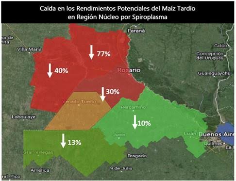 Julio mejora los márgenes agrícolas, pero el alquiler sigue restando rentabilidad