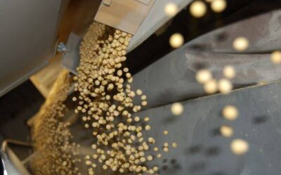 Comprar maquinaria y campos en Argentina: el agro mejora su poder de compra, pero la lechería y la reposición aún sufren