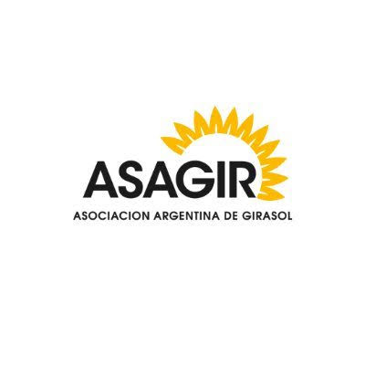 El boom del girasol argentino: entre exportaciones récord, precios en alza y una siembra que acelera