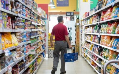 El Gobierno disolvió el Inal y ahora el control de los alimentos queda en manos de Senasa y Salud El Gobierno disolvió el Inal y ahora el control de los alimentos queda en manos de Senasa y Salud