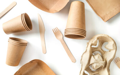Europa cambia las reglas del packaging: ¿está lista la industria forestal argentina para el nuevo paradigma global?
