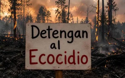 El debate por la ley de ecocidio: FeArCA advierte sobre los riesgos de criminalizar la producción legal El debate por la ley de ecocidio: FeArCA advierte sobre los riesgos de criminalizar la producción legal