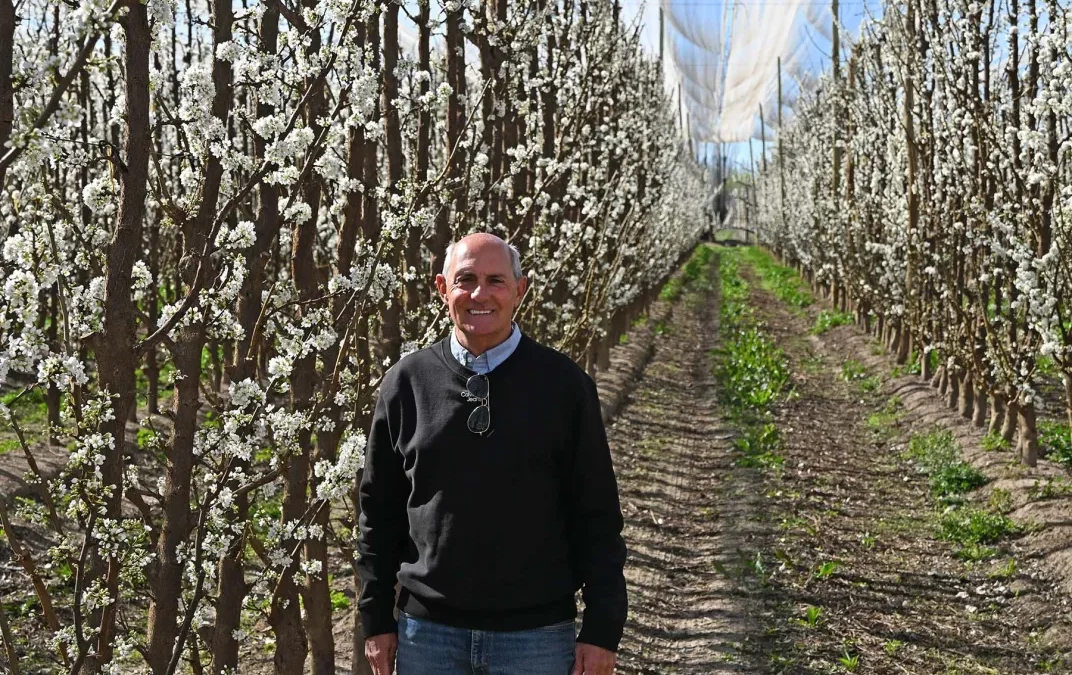 Dejar las peras por el carozo: el viaje a Italia que transformó una chacra patagónica