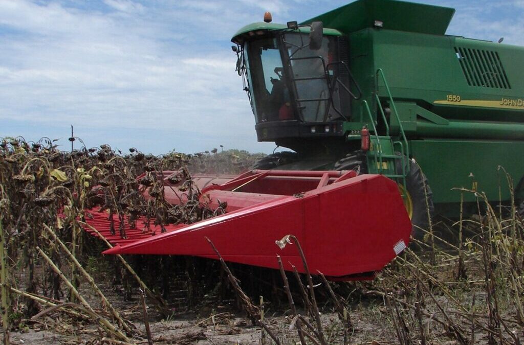 Cabezales argentinos: la nueva generación que transforma la cosecha