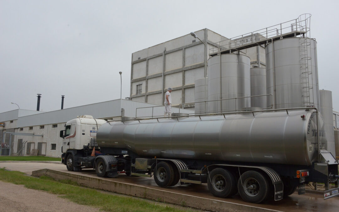 Récord de exportaciones lácteas: 1.835 millones de litros de leche exportados entre enero y julio