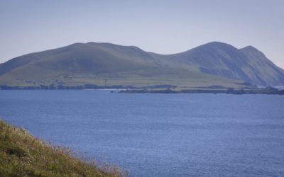 Oportunidades únicas para vivir gratis en islas paradisíacas y pueblos rurales a cambio de cuidar su entorno y animales Oportunidades únicas para vivir gratis en islas paradisíacas y pueblos rurales a cambio de cuidar su entorno y animales