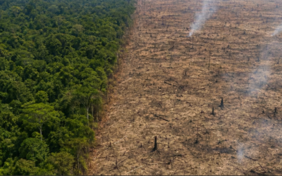 Panamá será la sede del Congreso Mundial de la UICN 2027 para frenar la crisis ambiental y transformar la conservación global
