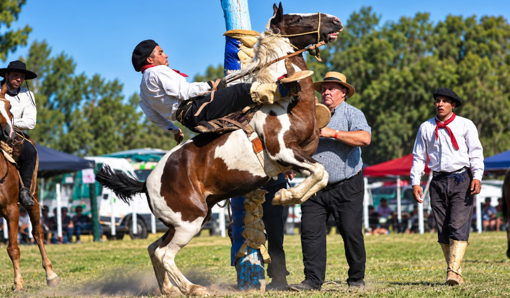 Escapadas en Buenos Aires: la guía completa con más de 40 fiestas tradicionales, exposiciones rurales y festivales para disfrutar este fin de semana