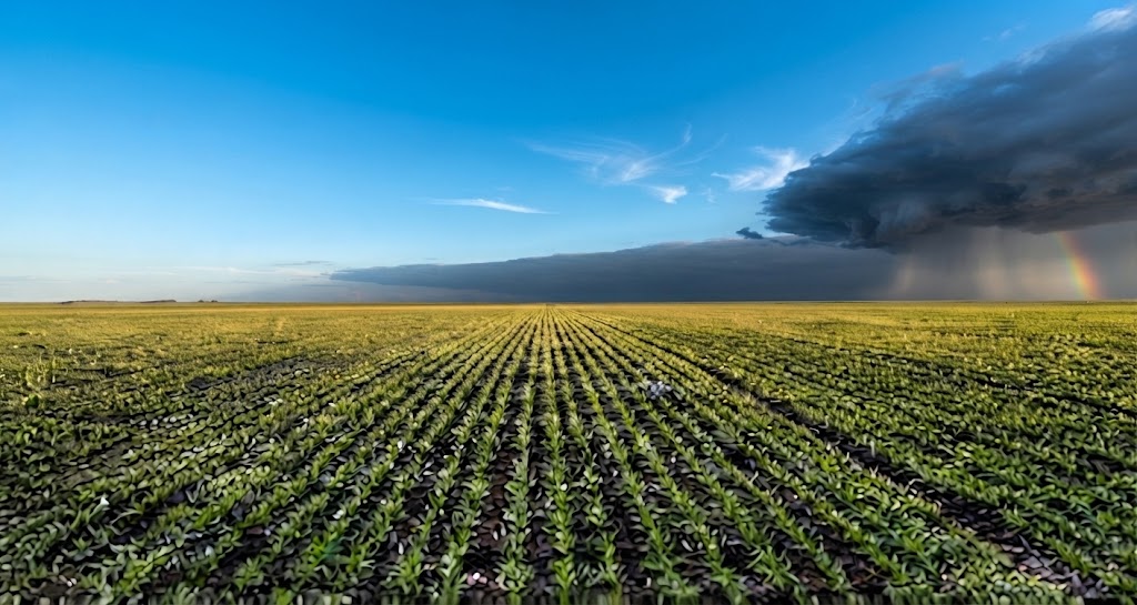 La primavera llegará con cambios bruscos de temperatura y lluvias escasas e irregulares